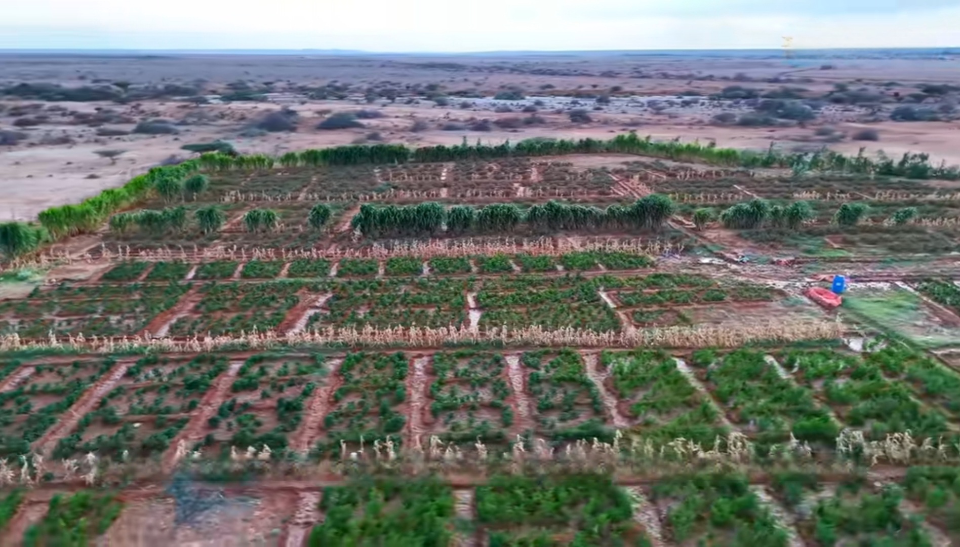 Solar Irrigation Systems